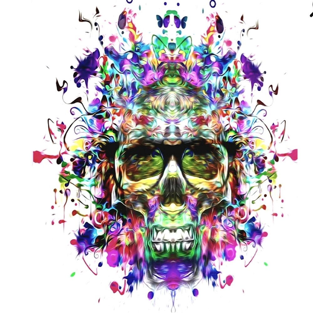 Skull abstract 8x10 picture w/ black fram